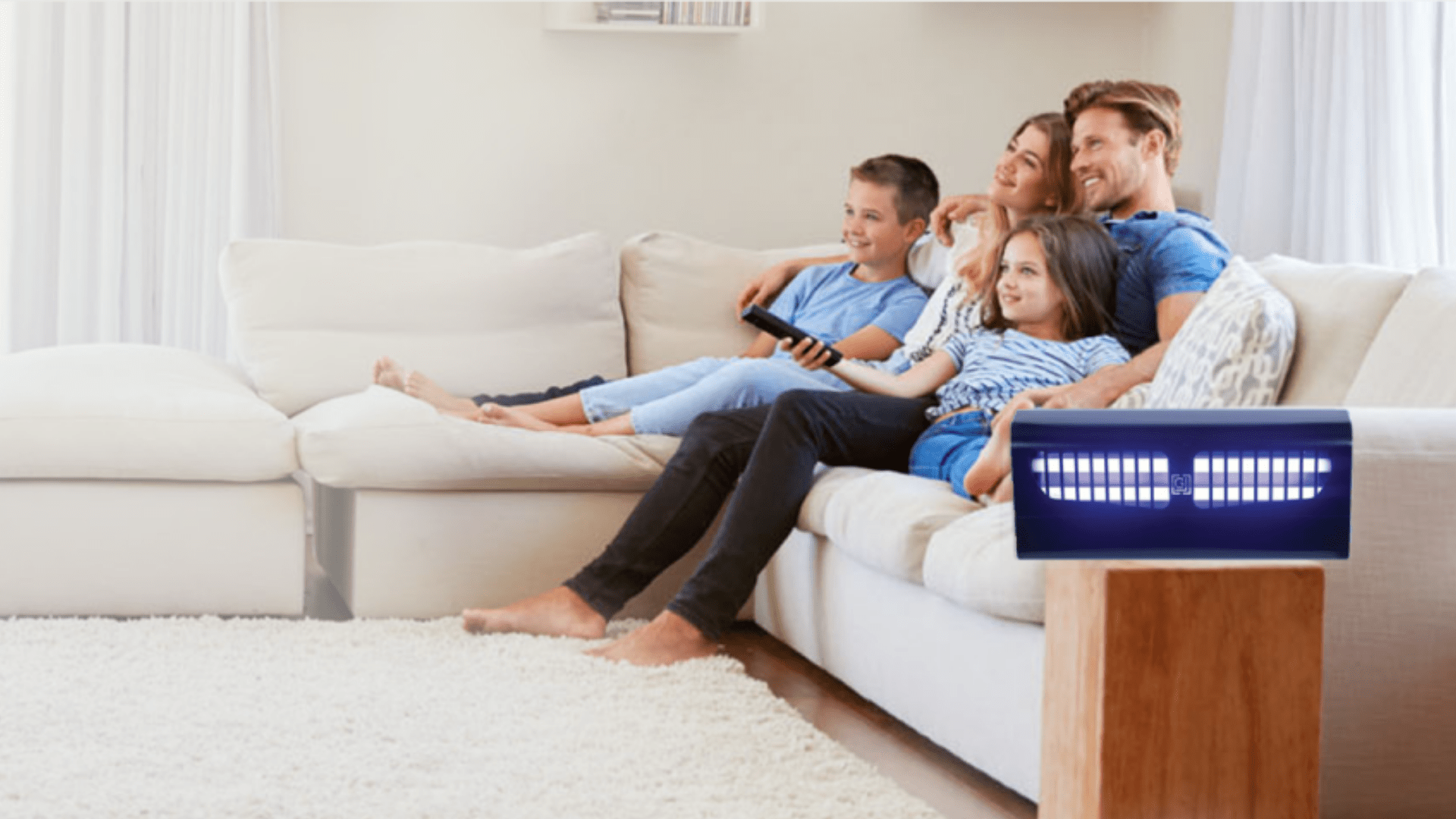 Insect Control in Living Room